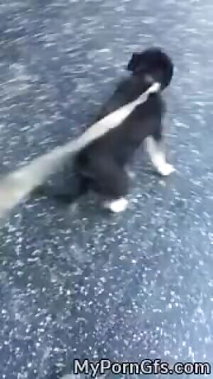 Literal trashy boner