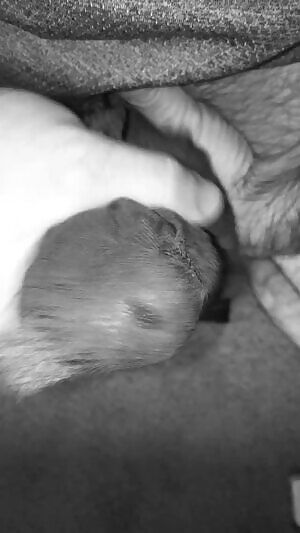 The font of youth. Extended gif