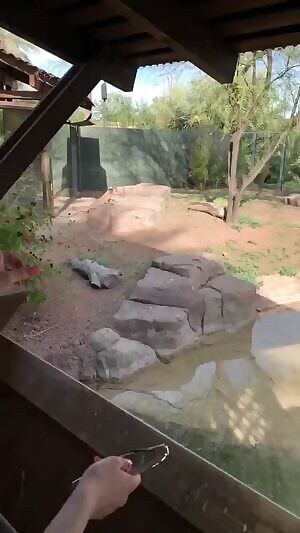 Enjoy Some Booty! Trying To Not Get Caught Showing Off For You Guys By The Other Visitors