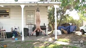 What a Pretty Lawn Ornament