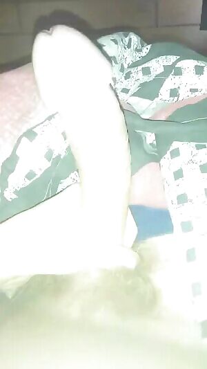 What do you think of this German sausage?