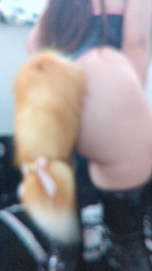 Pup Community Kitty PetPlay Tail Plug