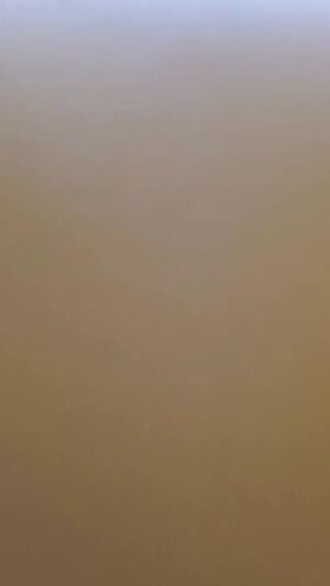 Small tits... big ass