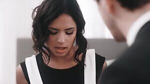 Training The Maid - Trenchcoatx