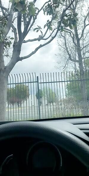 Wilding it out in open..