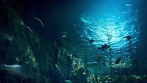 Susan Park backstory in Snowpiercer