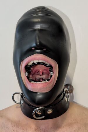 Gay Bondage BDSM Betaslave Fetish Gag