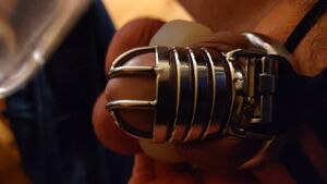 Metal Bondage BDSM Ballbusting Beta Betaslave