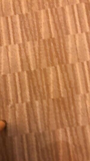 I love being leashed