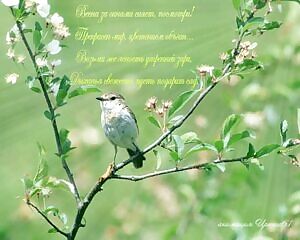 🍬Sexy & Sweet Busty Petite for your 🎬Fantasy Custom , ❤Honest Cock with Options, 💋4Later with Name, & 💥$25 Dropboxes