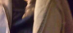 Public Exhibitionist