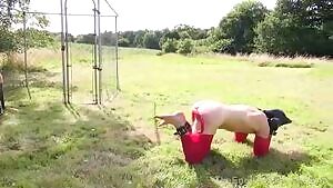 Sent To Be Trained As A Pet.