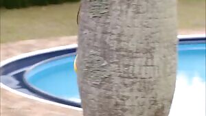 Mai Nishida bouncing around in a yellow bikini