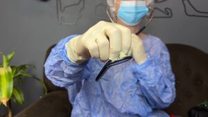 Medical Gloves Nurse