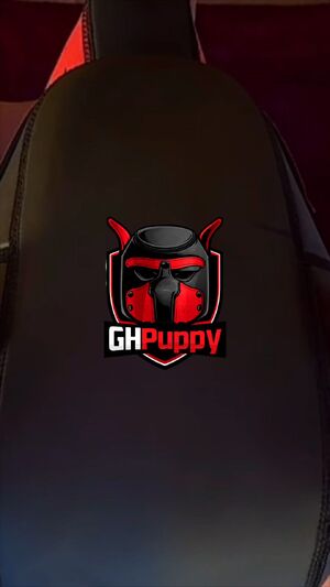Gay Glory Holes Amateur Puppy
