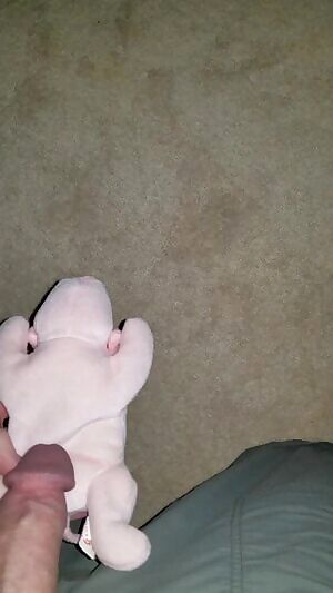 Beanie Babies Are Still Relevant, Right?