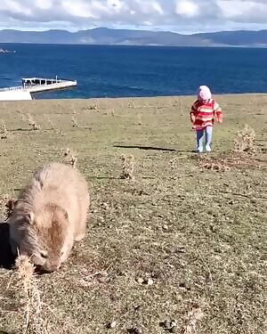 First time posting here guys hope this fits in