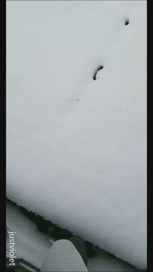 I just posted my Snow bunny tail buttplug & carrot toy fucking outside (10:49mins) on my premium snapchat story for throwback thursday :) justvioletoffical.com