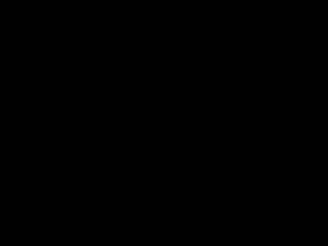 Can you help pick up my shorts? :(