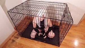 Elizabeth from Seven Deadly Sins gives BJ in cage by Violett Belle