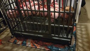 Shibari Rope Bondage BDSM