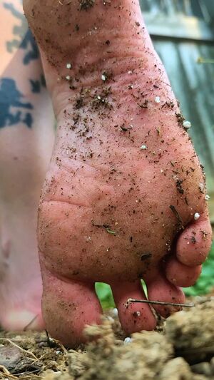 Feet Heaven Foot