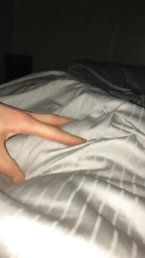 Norwegian Morning Wood.