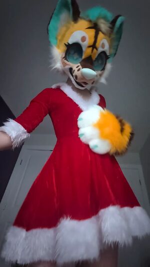Solo Furries Amateur Christmas Cosplay Costume