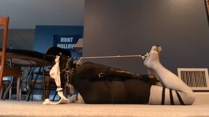 Bondage Sluts BDSM Ball Gagged Fishnet