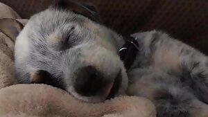 Daddy said I should post here ♥️