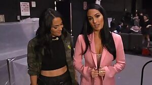 Nikki and Brie Bella, who's wearing the better outfit?