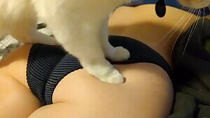 Softer than the pillows