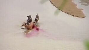 African Wild Dogs and a Hyena reluctantly sharing a meal