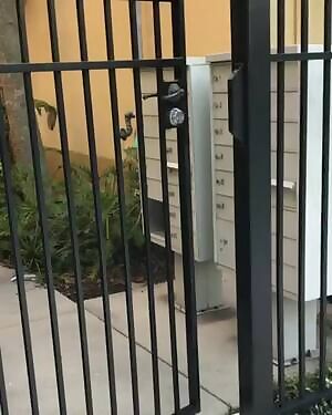 Who likes them Lean?