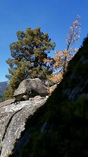 Would you like to see more of our adventures?